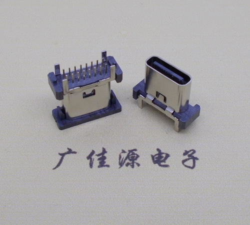 温州立式插板type-c16p母座长H=8.8mm