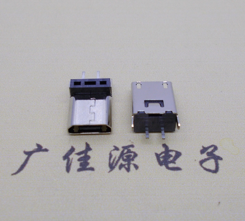 温州micro 2p直插母座无卷边180度铆合式H=9.3、10.0、10.5、11.5mm