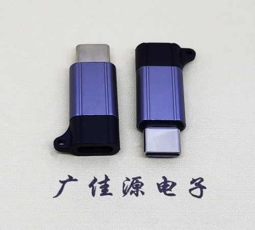 温州Type-C母转Type-C公 USB3.1 PD100W快冲接口